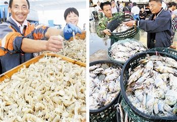 渤海休漁結束，開海喜迎豐收