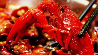 水產(chǎn)養(yǎng)殖溯源系統(tǒng) 讓消費(fèi)者放心的農(nóng)產(chǎn)品保障