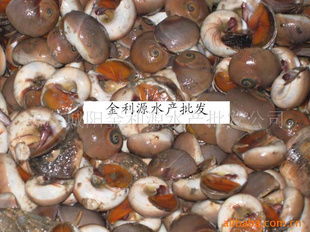 青島城陽金利源水產(chǎn)批發(fā)公司——水產(chǎn)品優(yōu)質(zhì)供應(yīng)與市場(chǎng)定位