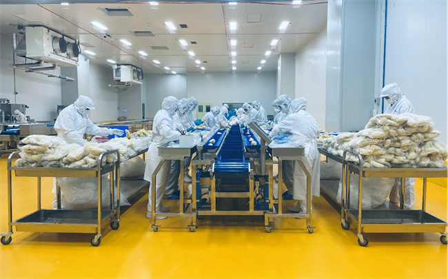 萬(wàn)緯青島榴蓮超級(jí)工廠正式開(kāi)倉(cāng) 攜手客戶共筑高效、韌性農(nóng)產(chǎn)品供應(yīng)鏈生態(tài)