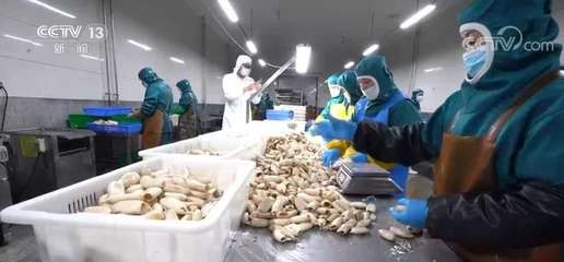 大食物觀(guān)引領(lǐng)水產(chǎn)產(chǎn)業(yè)升級(jí) 預(yù)制菜如何延長(zhǎng)水產(chǎn)養(yǎng)殖價(jià)值鏈