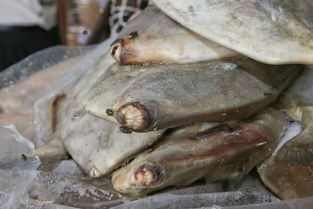 破冰專(zhuān)項(xiàng)行動(dòng)顯威，黃埔海關(guān)查獲31億元特大走私進(jìn)口凍水產(chǎn)品案