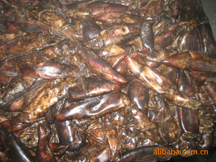 船凍紅魷魚(yú) 價(jià)格、廠家與粗加工水產(chǎn)品市場(chǎng)解析