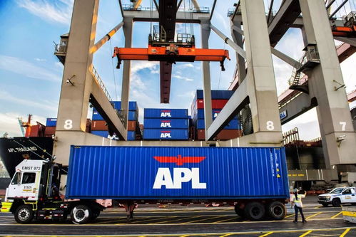 國際航運市場動態(tài) 泰國海運費用上調(diào)與進出口貨物政策解讀